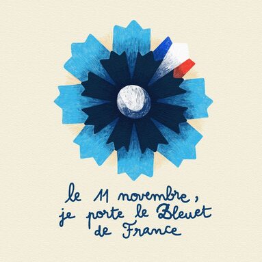 BLEUET-DE-FRANCE.jpg