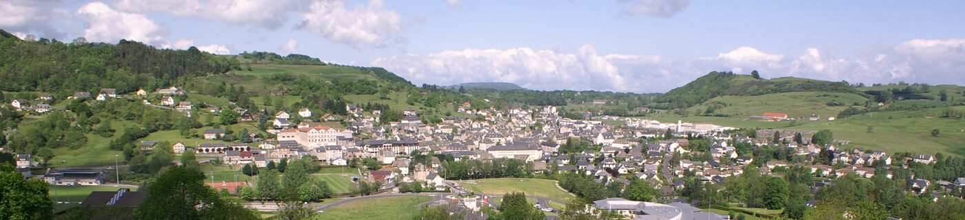 Riom-ès-Montagnes-vue_générale.jpg